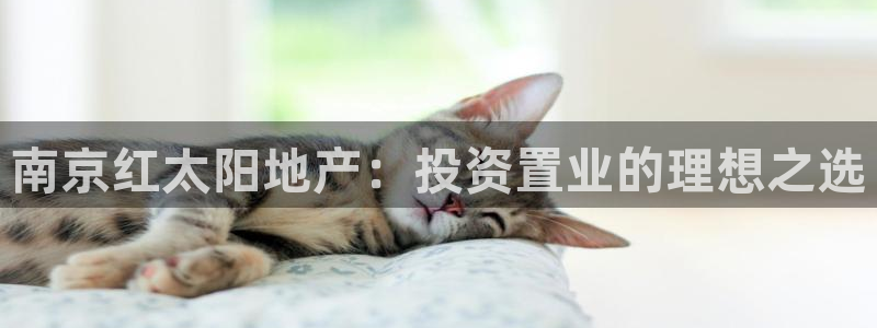 永利返利