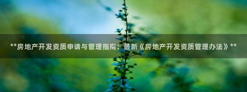 佛山永利工业皮带厂家