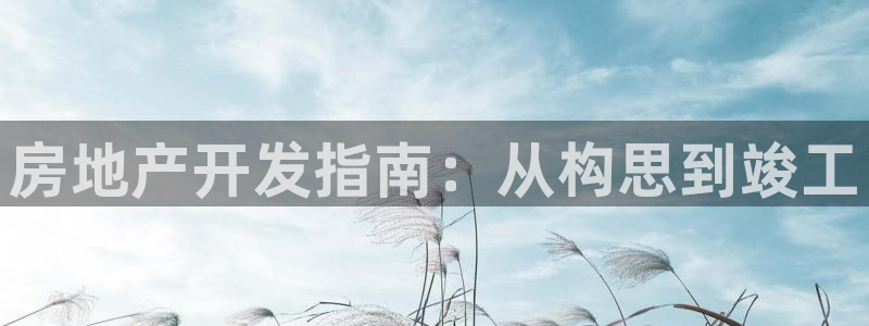 永利的老板是谁