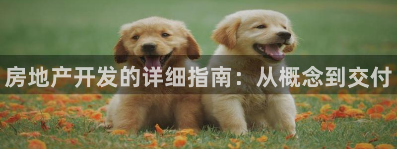 永利输送带