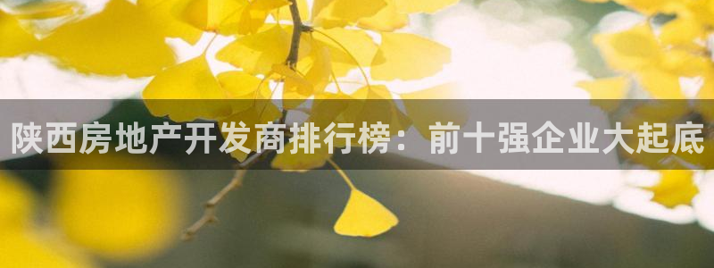永利属于哪个集团
