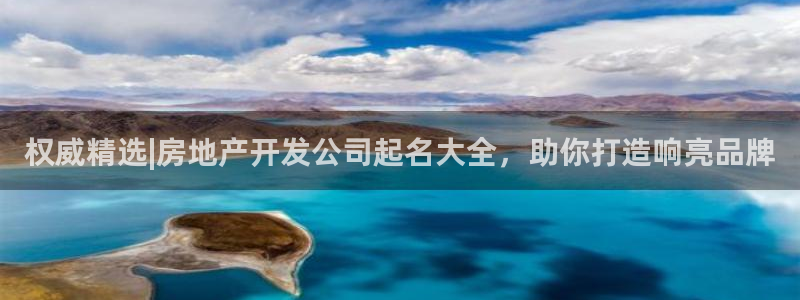 永利皮带报价