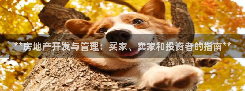 永利饭店倒闭