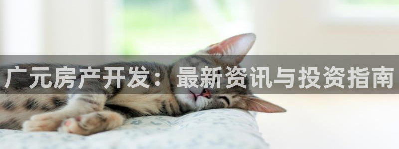 鄂州永利房地产怎么样