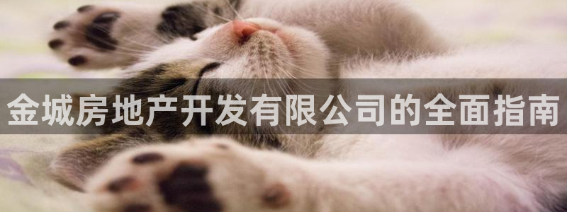佛山永利工业皮带厂家