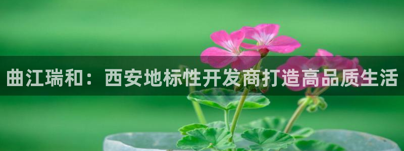 永利是啥意思
