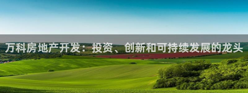 永利皮带型号