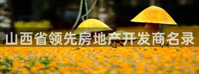 永利官网误乐域一个币多少钱
