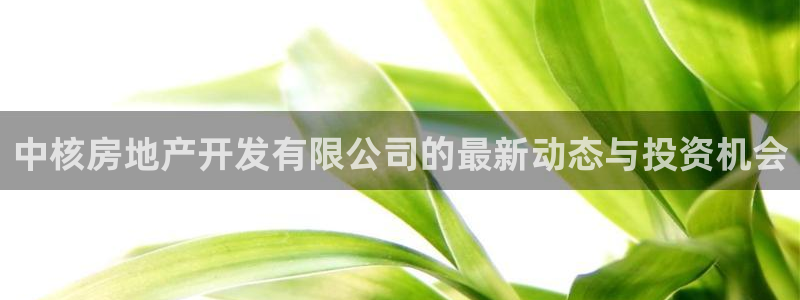 永利皇府黄立青身价