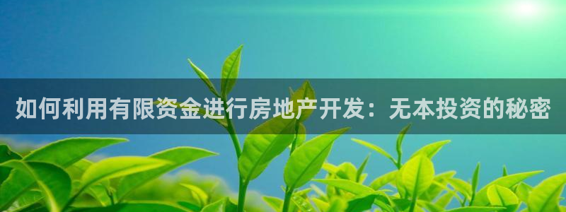 永利制带