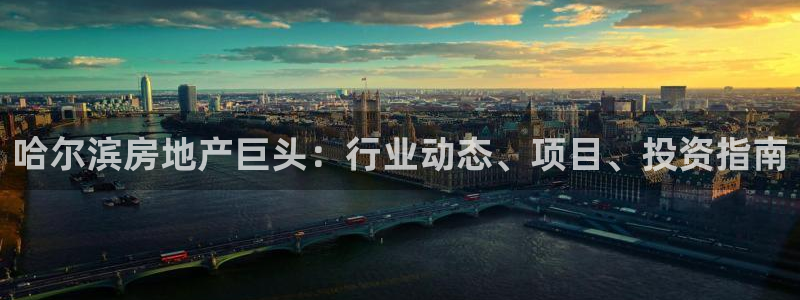 永利股份有限公司介绍