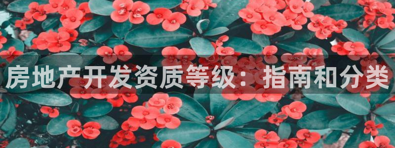 永利带业 皮带 输送带 价格