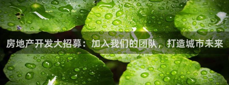 永利中国官网
