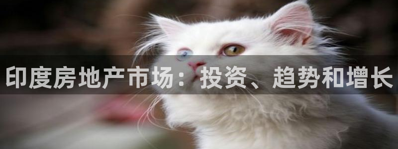 永利金控控股有限公司