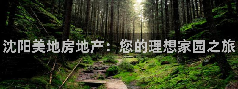 永利集团董事长