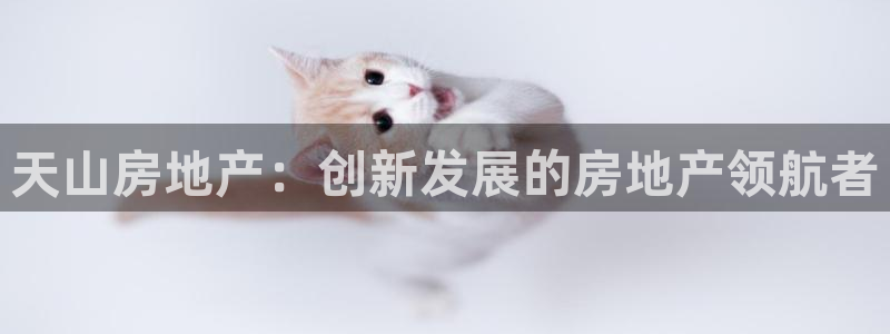 永利官网中文