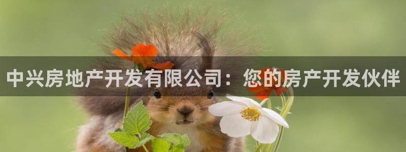 永利百货怎么样
