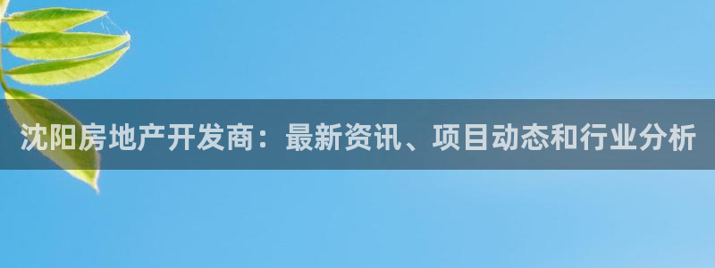 永利皮带型号说明图