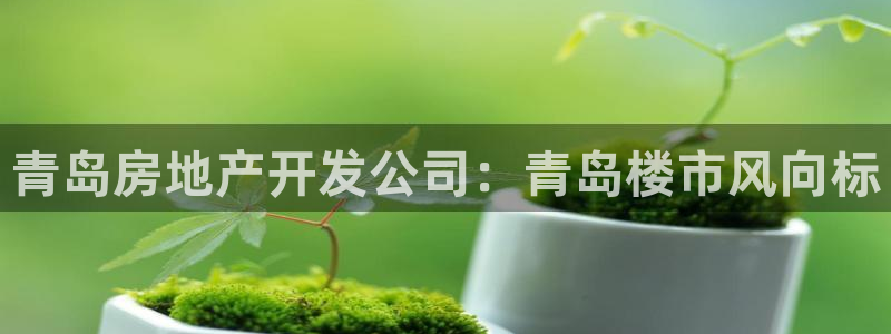为什么永利网址打不开