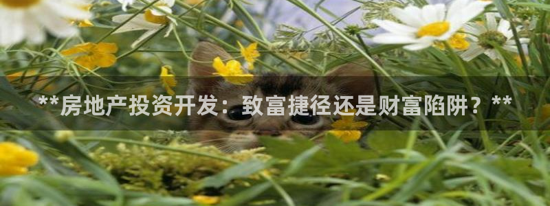 永利公司简介
