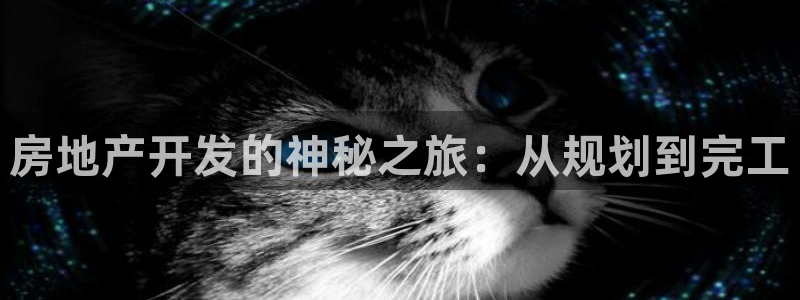 永利网会员