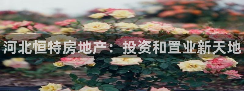 永利贵宾厅出不了款怎么办
