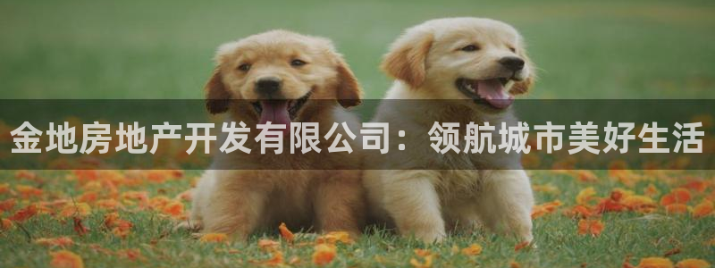 永利官方
