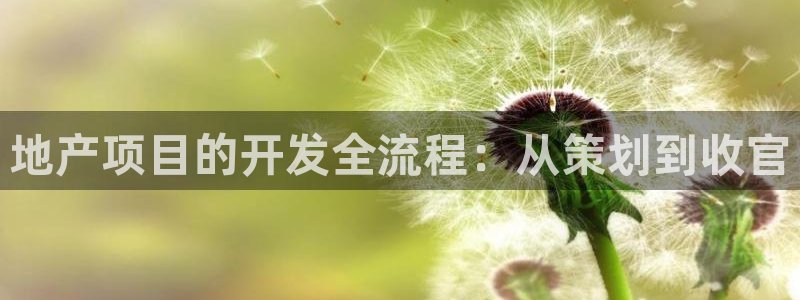 永利汇团购