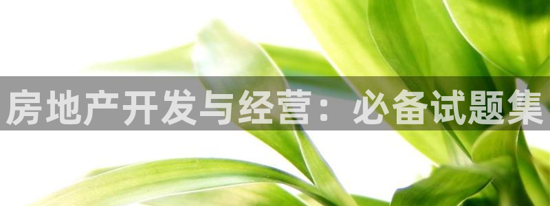 永利有限公司