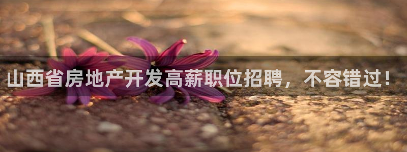 永利表行为什么那么便宜