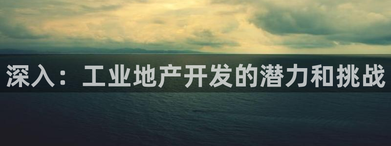 永利皮革有限公司