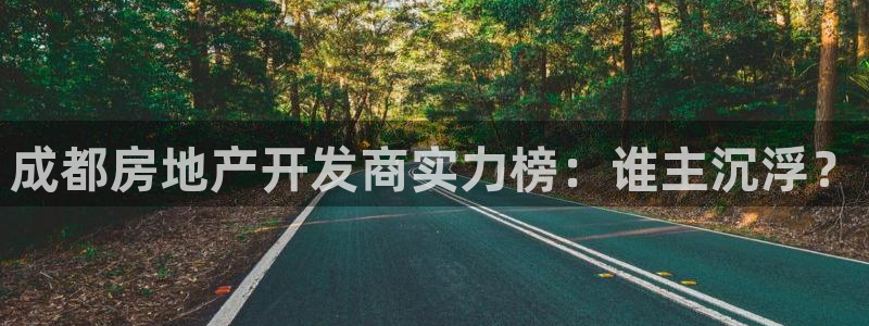 永利房地产有限公司