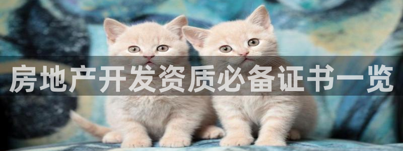 永利是啥意思