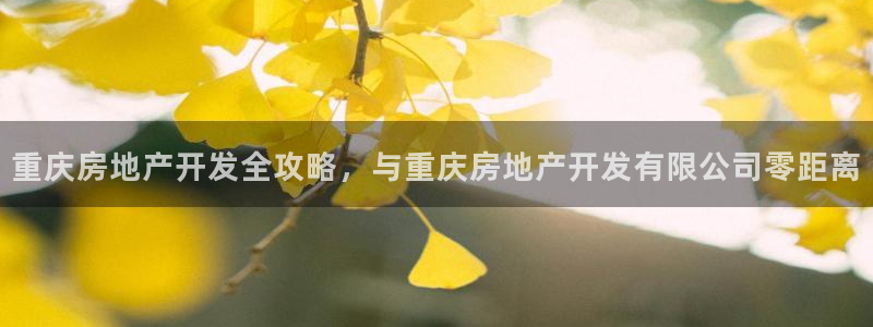 永利宝高管