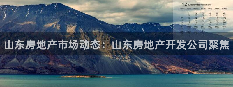 永利有限责任公司