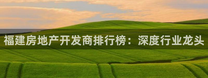 永利来织带