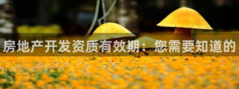 澳门永利购物中心