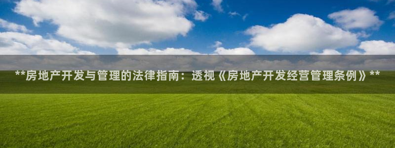 永利股份公司