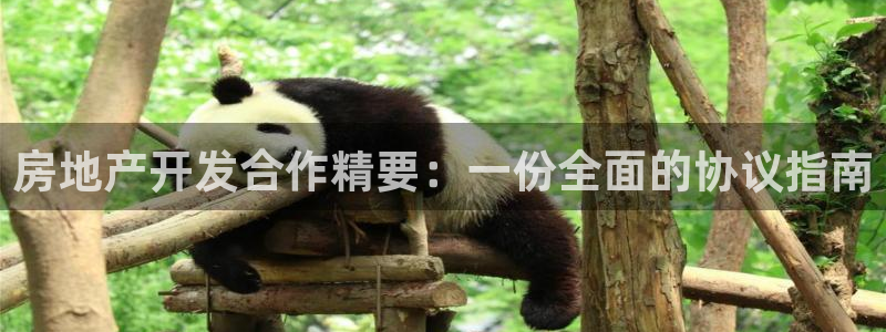 永利服装有限公司