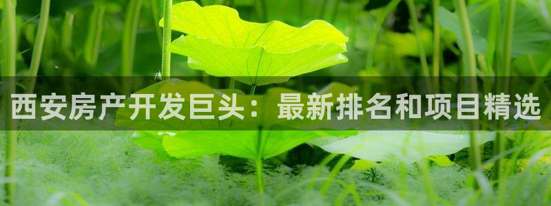 永利厂牌