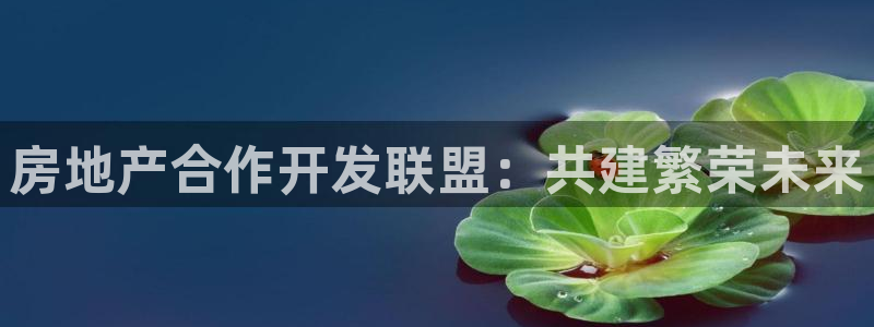 永利中国总裁