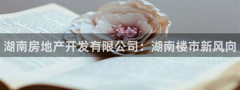 永利大酒店事件