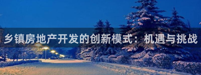 永利集团简介概况