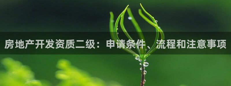 永利集团董事长简历
