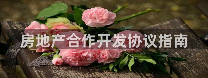 永利 官网