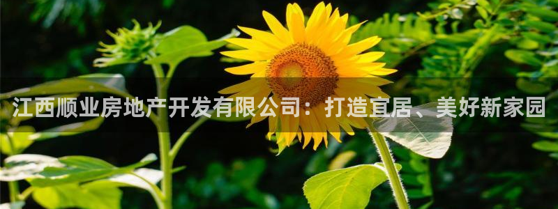 永利酒店官网
