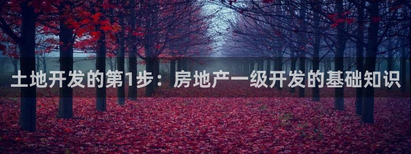 9900777z永利网