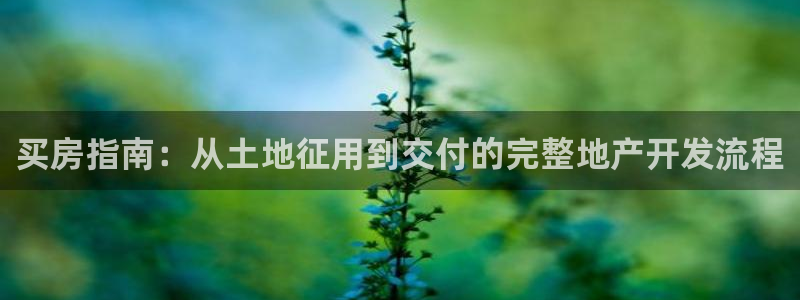 永利官网查询系统