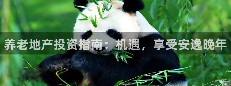 永利老板的名字叫什么名字