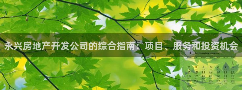 永利皮带官网价格查询系统